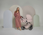 Детская коляска Adamex Delta Natura 3 в 1 DN-2-ROSE