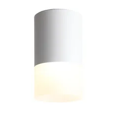 ST100.502.05 Светильник потолочный Белый LED 1*5W 3000K 390Lm Ra>80 120° D64xH110 170-240V Накладные светильники