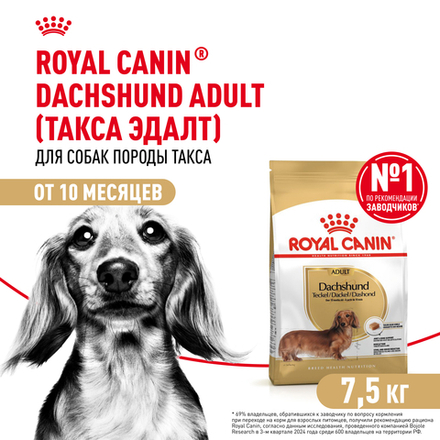 Сухой корм Royal Canin Dachshund Adult для взрослых собак породы Такса от 10 месяцев 7,5кг