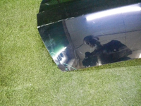 DSCN7817.jpg
