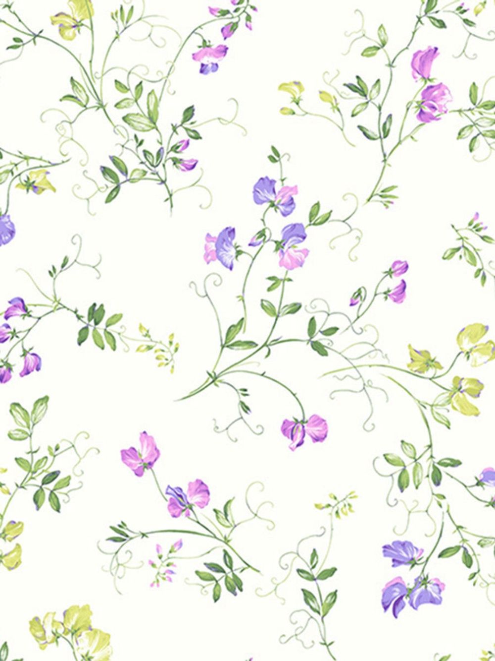 Наволочка комплект 2шт  сатин Milky Garden "Горошек" 50x70 см на молнии