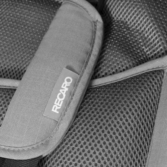 Прогулочная коляска Recaro Lexa Elite Prime Silent Grey