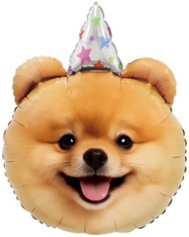 К Шар (28''/71 см) Фигура, Собачка в колпачке(БГ-24)