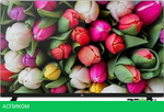 Телевизор BQ 32FS40B