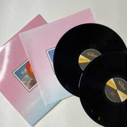 Винтажная виниловая пластинка LP The Allman Brothers Band Eat A Peach (Россия 2008)