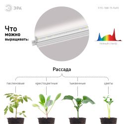 Светильник для растений, фитолампа светодиодная линейная ЭРА FITO-18W-T5-Ra90 полного спектра 18 Вт Т5 | Линейные фито светильники
