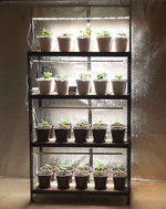 Комплект LED Quantum line 60 см, 25W