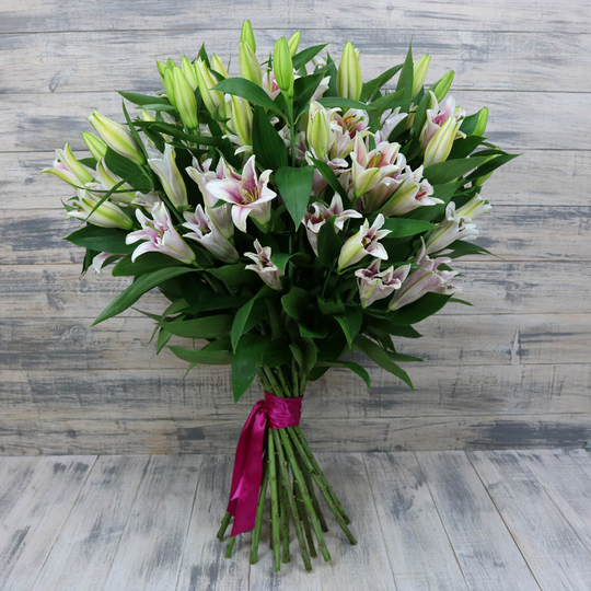 Букет из 25 лилий