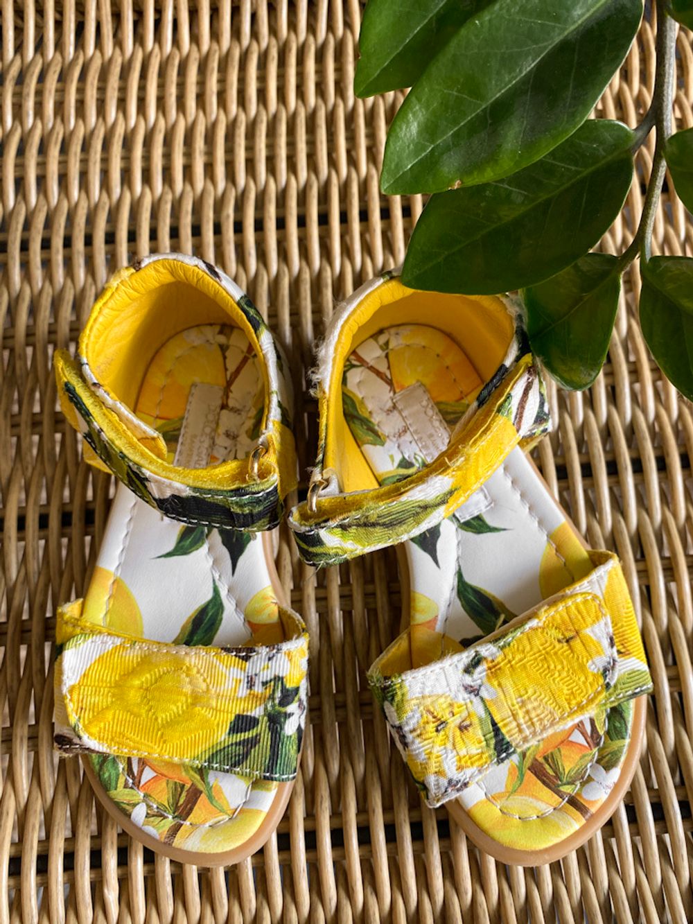 Босоножки Dolce&Gabbana, 24