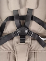 Прогулочная коляска Rant Caspia Soft RA100