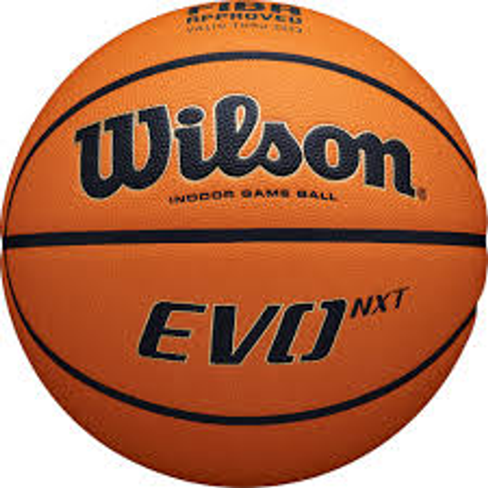 WTB0966 Баскетбольный мяч Wilson Indoor