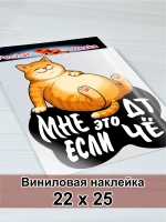 Наклейка - На авто ДТ Дизельное топливо Довольный рыжий кот