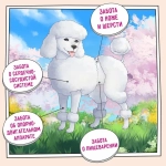 Сухой корм собак ZILLII (Зилли) Dog Adult 15кг белая рыба и лосось