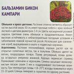 Бальзамин Бикон Кампари 7 шт СМЦ-779