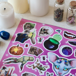 PACK WITCHY