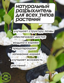 Агроперлит для растений и цветов 32 литра