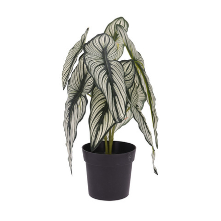 Растение искусственное в горшке Калатея 33 см (на выбор 3 дизайна)