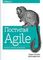 Постигая Agile. Ценности, принципы, методологии