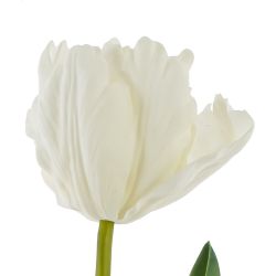 GAEM Цветок искусственный "Тюльпан" (Real Touch), L22 W9 H61 см