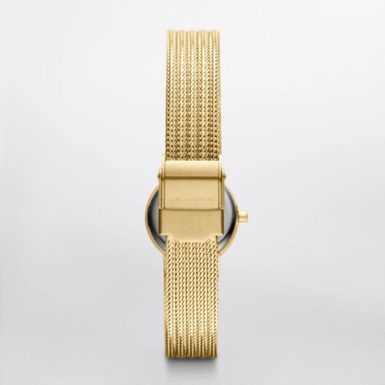 Наручные часы Skagen SKW2009