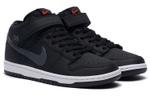Кроссовки Nike Dunk Sb Iso