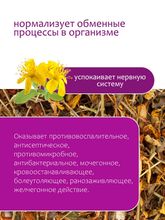 Зверобой трава