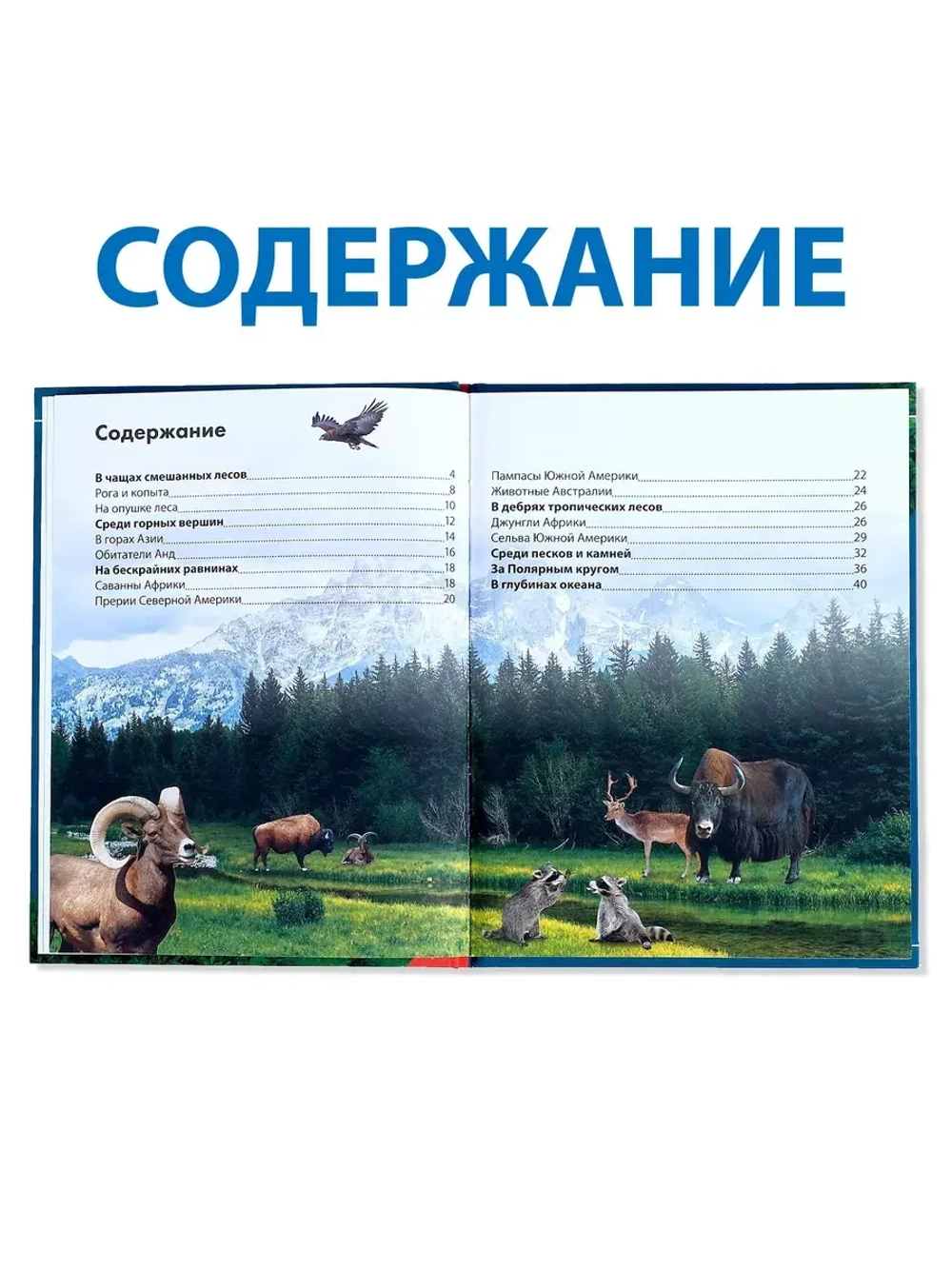 Детская энциклопедия Энциклопедия Животных