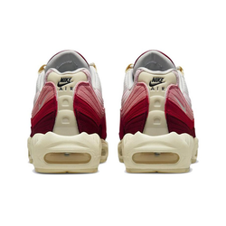 Кроссовки Nike Air Max 95 'Anatomy of Air' DM0012‑600