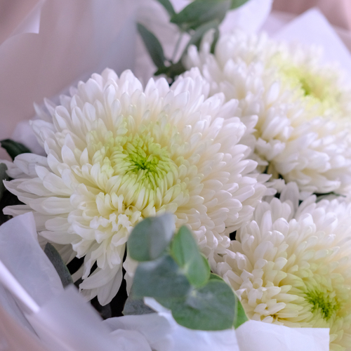 Купить Букет королевских хризантем «Полёт» #990