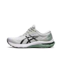 Мужские кроссовки ASICS GT-2000 11 'Light Sage Black' 1011B441-021