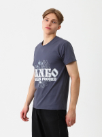 Футболка для САМБО серая мод.6