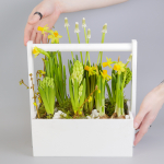 Композиция с первоцветами Белая коробка