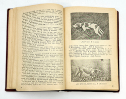 Полвека работы с легавой собакой. 1887-1937. Тираж 5200 э.  Ленинград. Ленингр. 1938г.