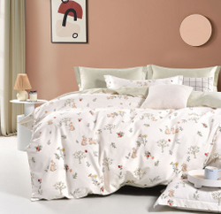 Постельное белье 1.5 спальное Asabella 2176-4xs