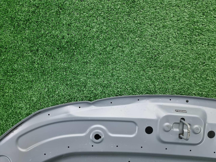 Капот Geely Tugella (2019-2024)