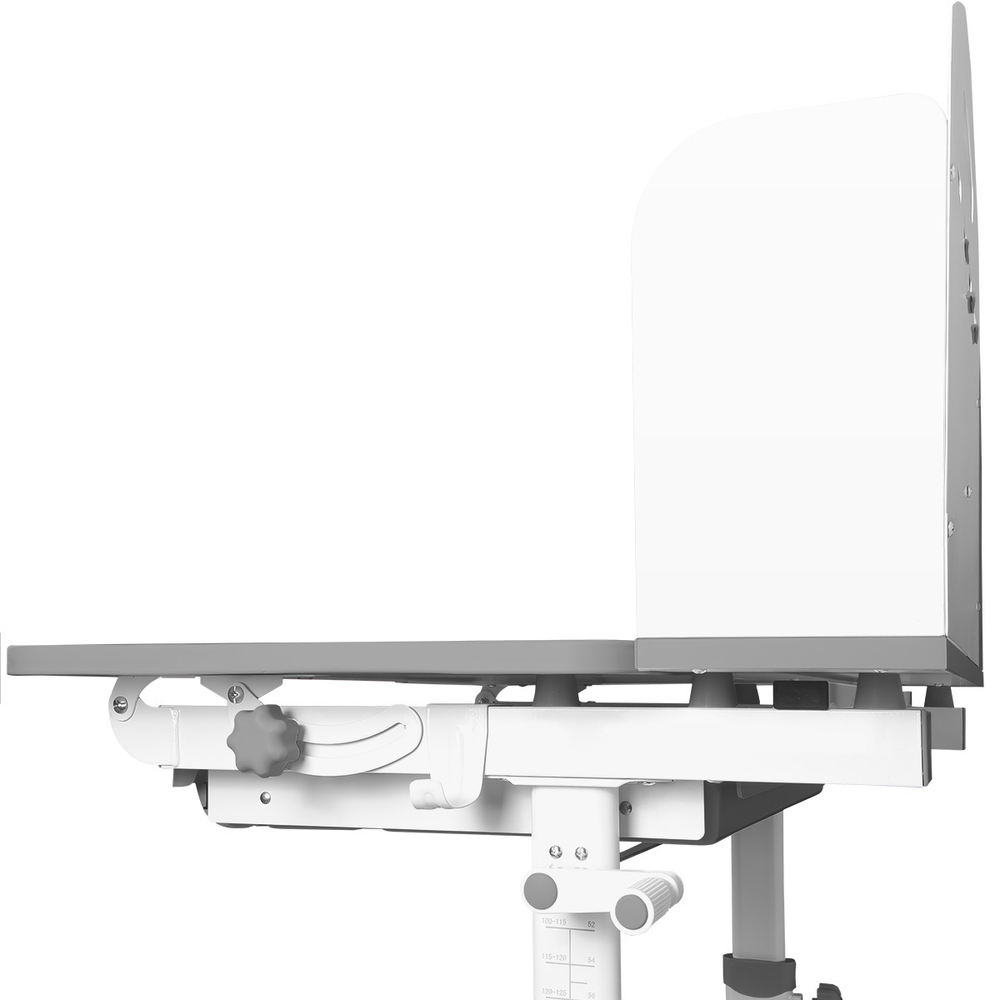 Комплект Anatomica Fiona парта + стул + надстройка + выдвижной ящик