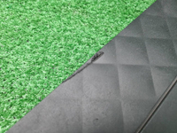 Подножка левая Bentley Bentayga (2015-2020) карбон