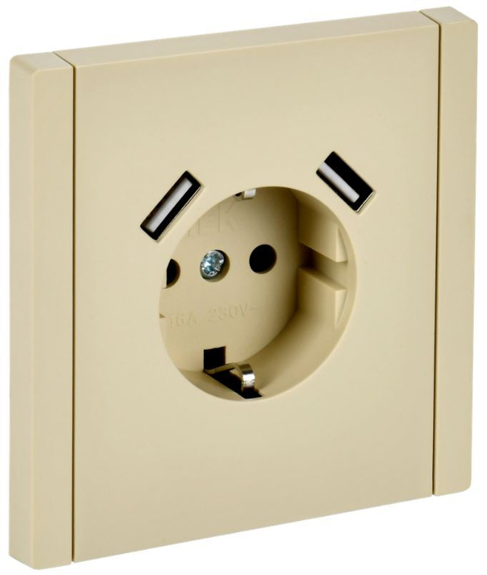 Розетка с заземлением с 2 USB  IEK FP-R14-16-U22-018-K10