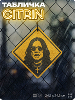 Табличка декоративная "Оззи Осборн, Ozzy Osbourne, Black Sabbath" на дверь и стену, прикольная штука в подарок, декоративный знак, 24,5х24,5 см, пластиковая, Айдентика Технолоджи