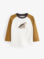 Лонгслив для мальчика Next 631-708, Молочный, Горчичный