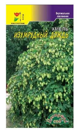 Хмель