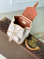 Louis Vuitton Montsouris Mini