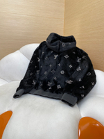 Louis Vuitton Jacket