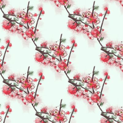 Японская айва