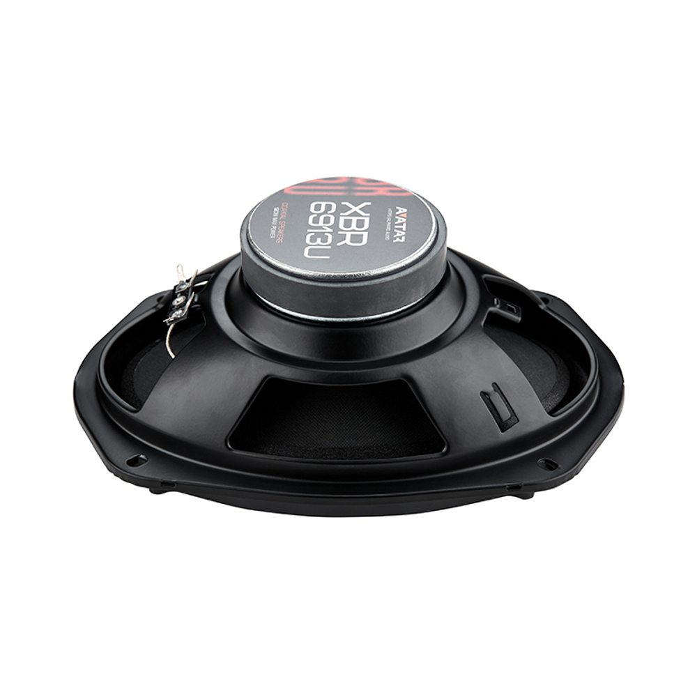 AVATAR XBR-6913U Акустика