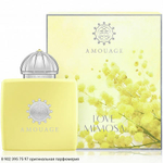 Love Mimosa
