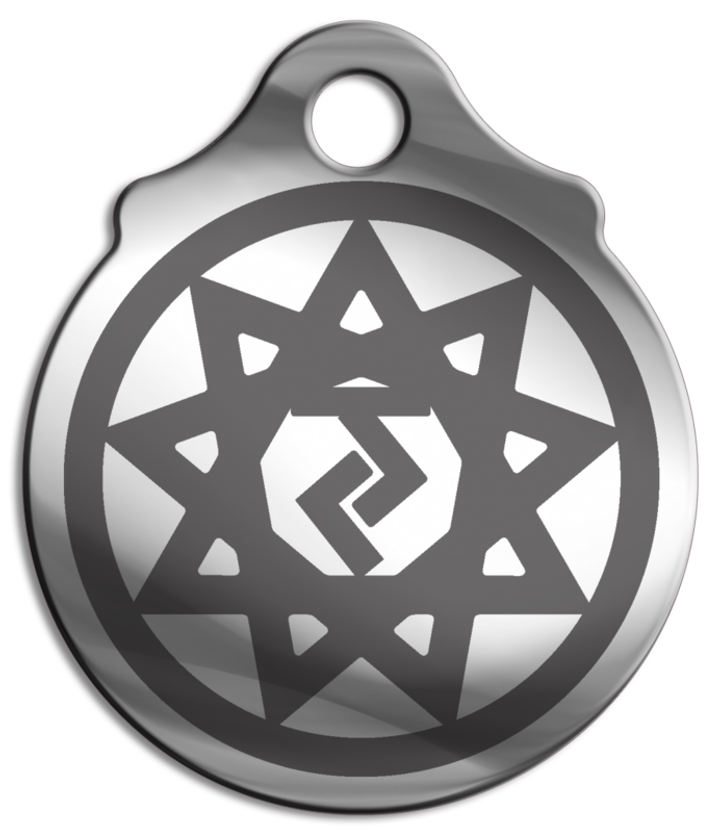 Амулет Славянский зодиак № 14 Чертог Коня, медицинская сталь