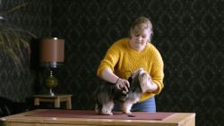 Машинка для стрижки животных Moser 1400 (1406-0076)