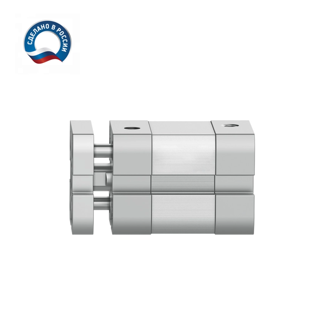 ADNGF-25-300-P-A Пневмоцилиндр