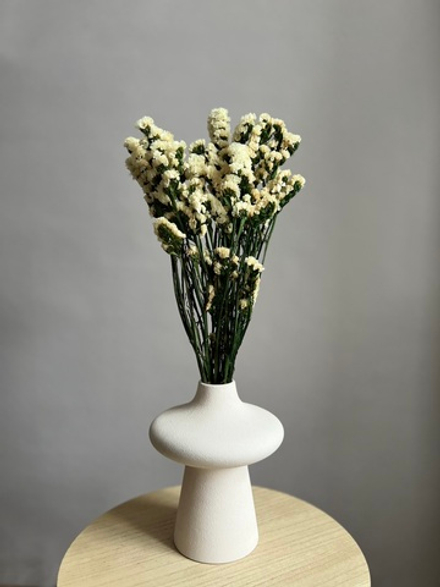 Статица стабилизированная белая